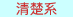 お姉さん系